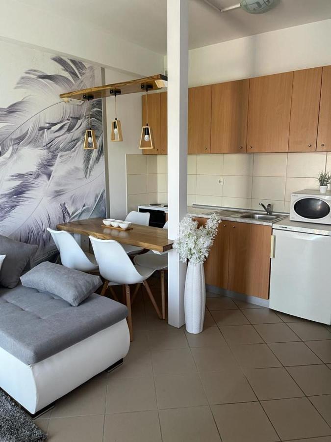 Apartman Lukic Banja Koviljaca Exterior photo